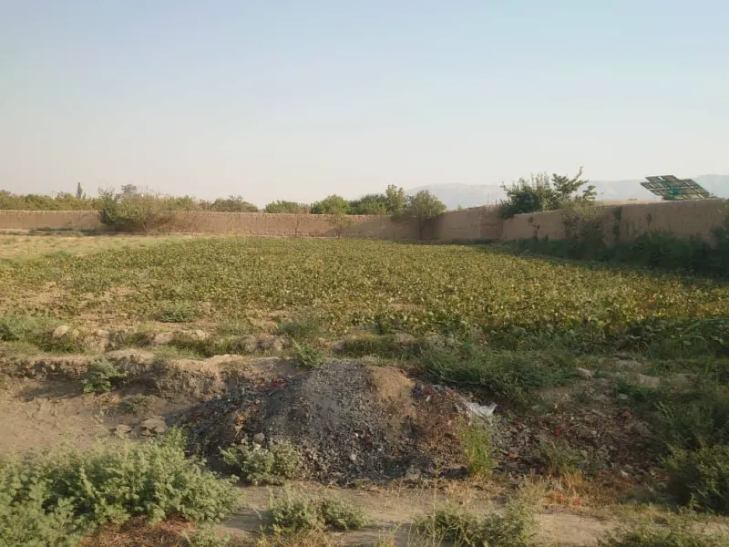 Land for sale, 1400 m², Khasa Paz village, Mazar-i-Sharif