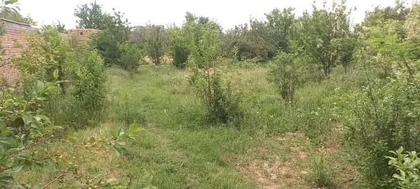 Farm land for sale, 1 jerib, Shakardara, Kabul